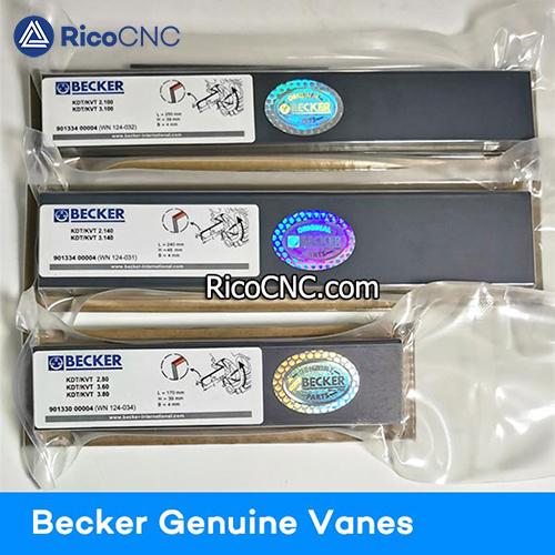 Paletas de carbono DVTLF250 Becker.jpg